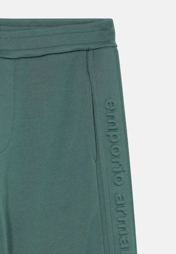 Брюки спортивные штаны Emporio Armani, Dark Green — фото 3