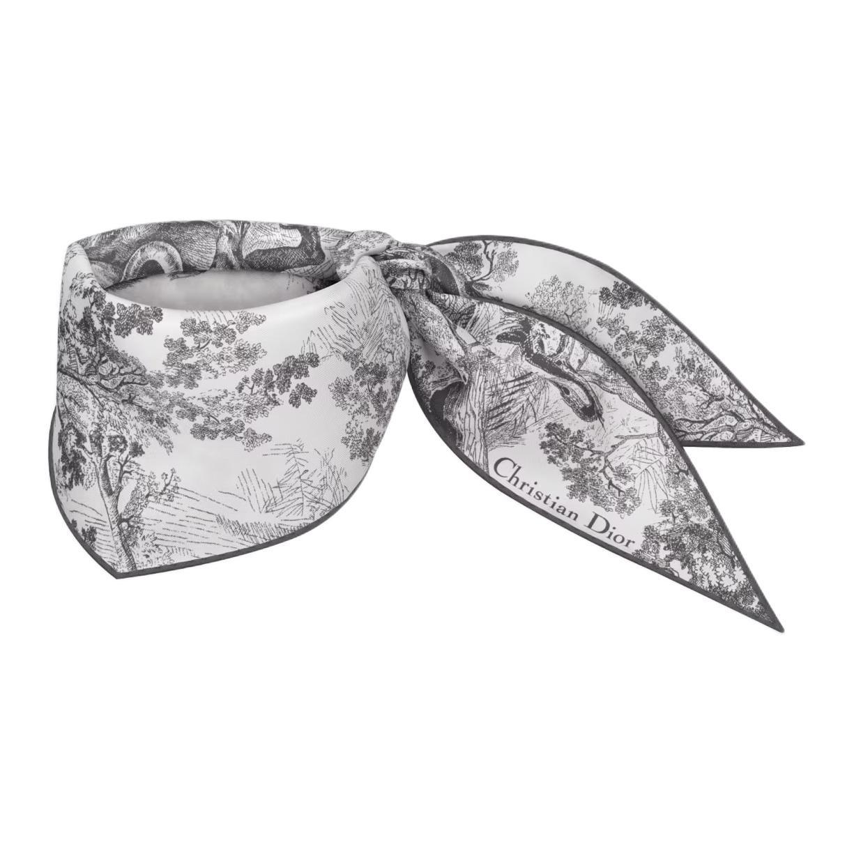 

Шелковый шарф для женщин Dior, серый