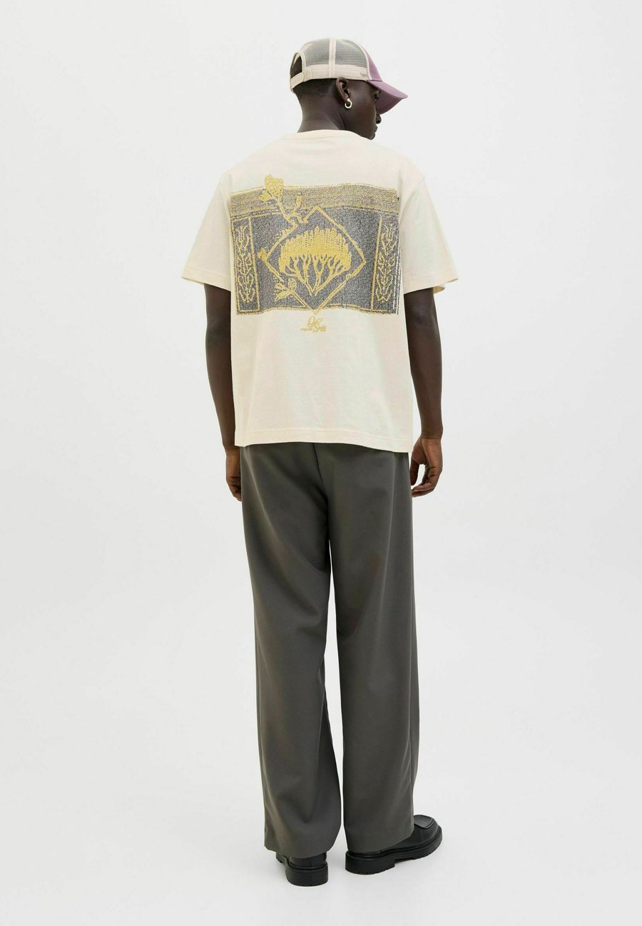 

Футболка Jack & Jones Print T-shirt, Antique White/Beige, Белый, Футболка Jack & Jones Print T-shirt, Antique White/Beige