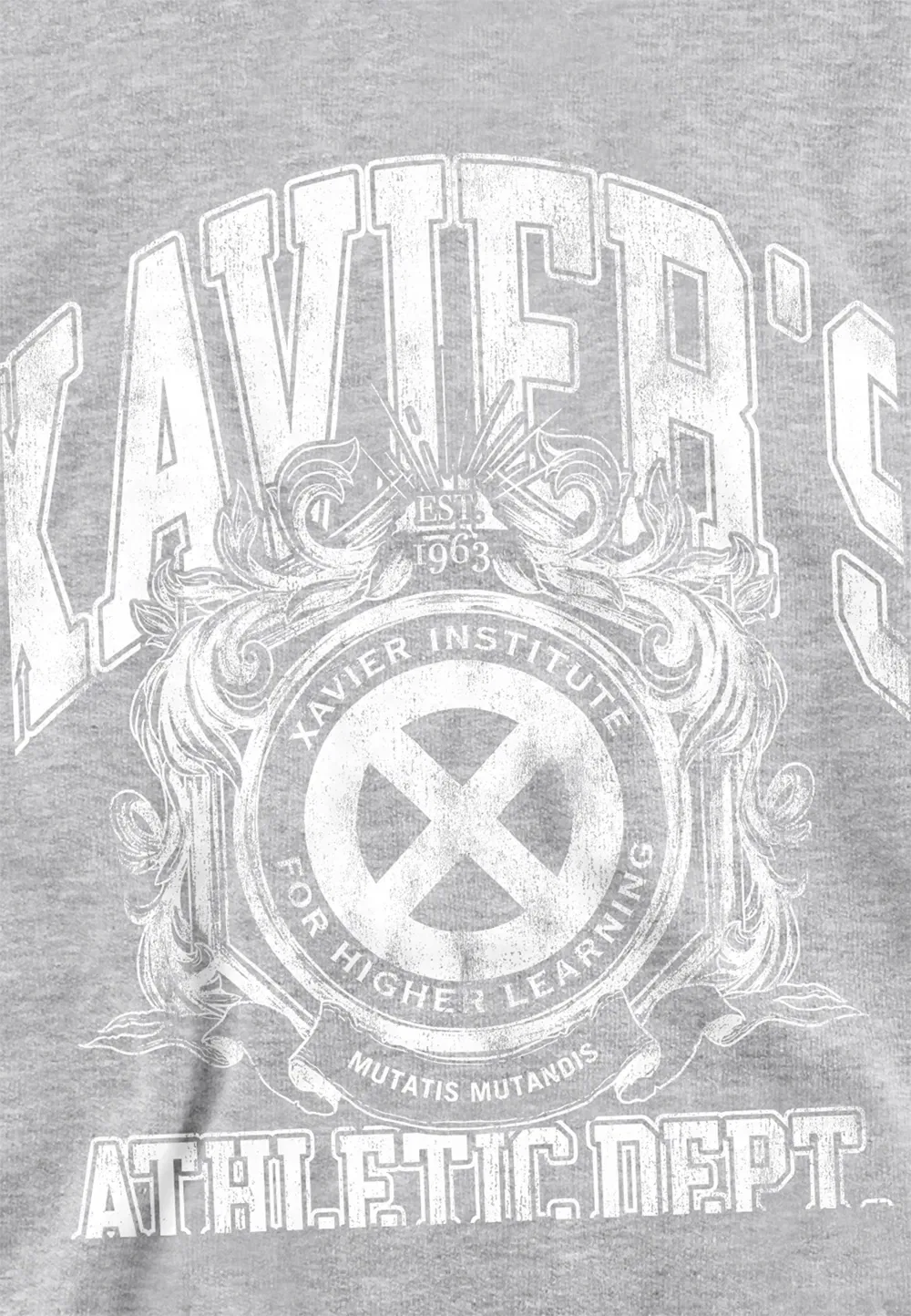 Детский худи Marvel X-Men Professor Xaviers Athletic Dept, белый, серый — фото 2