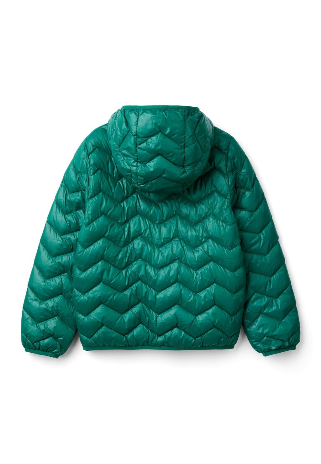 

Зимняя куртка WITH HOOD United Colors of Benetton, зеленый