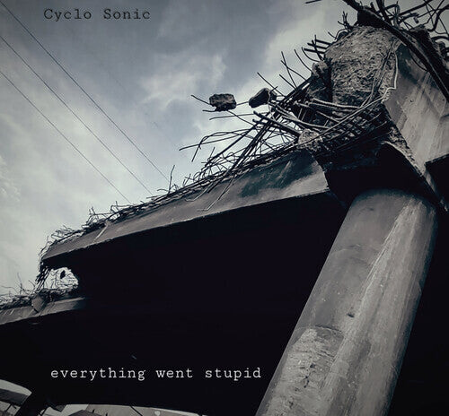 

Виниловая пластинка Cyclo-Sonic: Everything Went Stupid