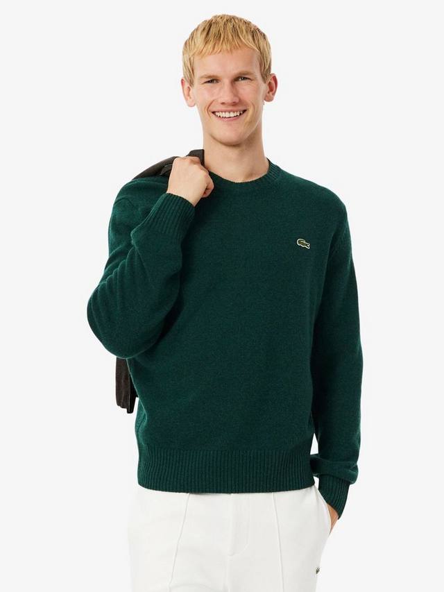 

Свитер из шерсти Core Wool Lacoste, Dark Green