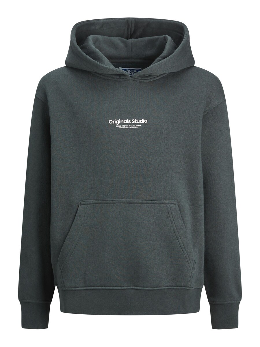 

Толстовка Jack & Jones Junior JORVesterbro, цвет Fir