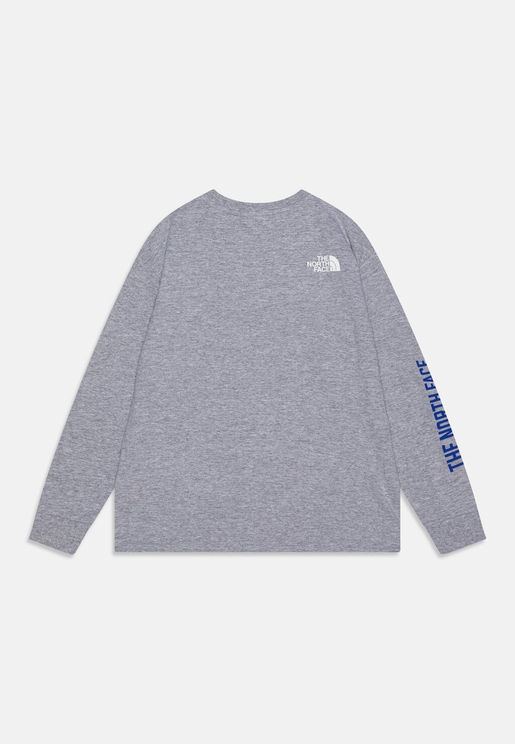 

Рубашка с длинным рукавом TEEN VARSITY GRAPHIC OVERSIZE UNISEX The North Face, светло-серый