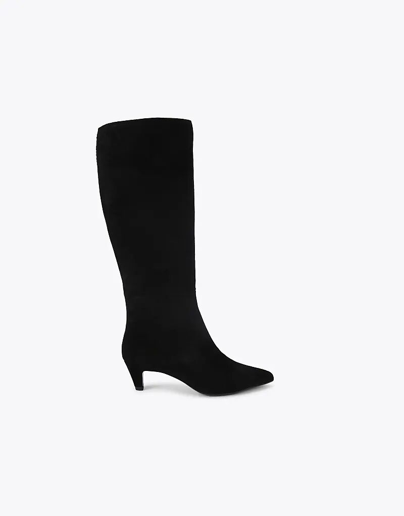 Высокие сапоги KG Kurt Geiger Tansy из черной замши