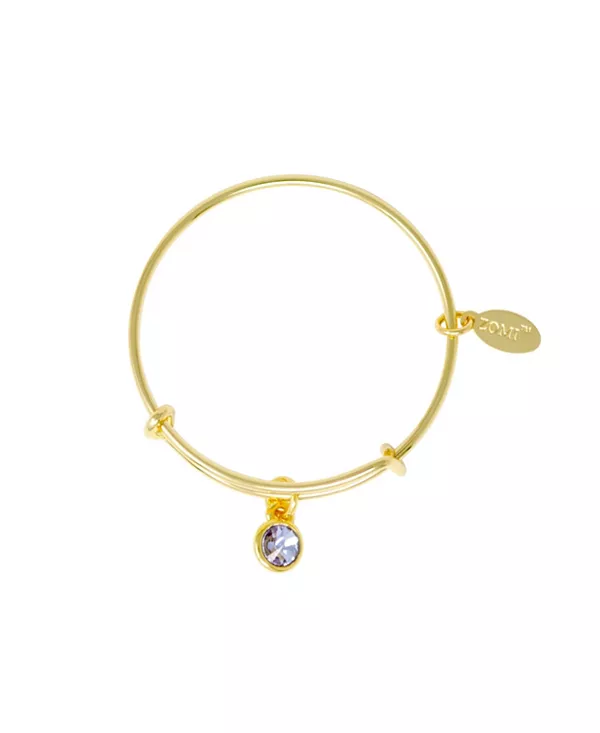 

Браслет с камнями, соответствующими дате рождения, для детей Zomi Gems, june