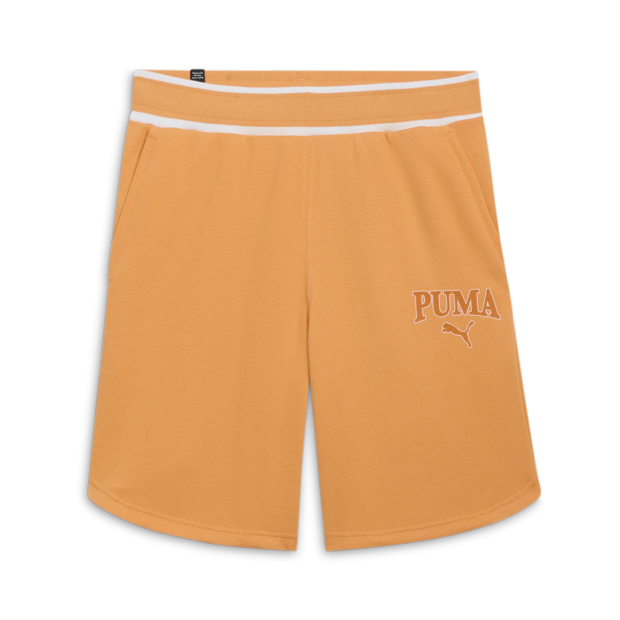 

Шорты мужские SQUAD PUMA, цвет clementine