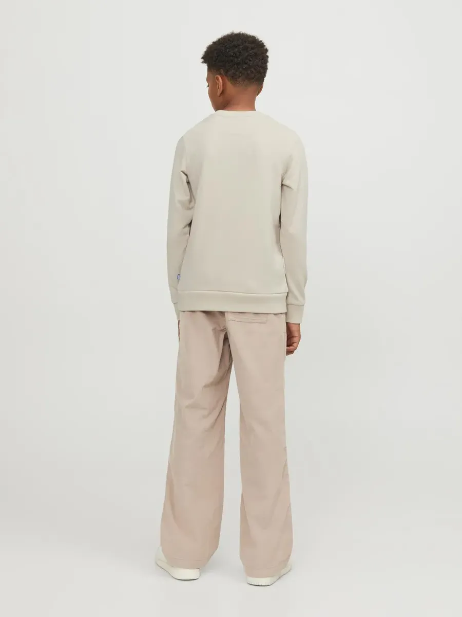 Толстовка Jack & Jones Junior "JJEBRADLEY SWEAT CREW NOOS JNR", цвет Moonbeam — фото 2