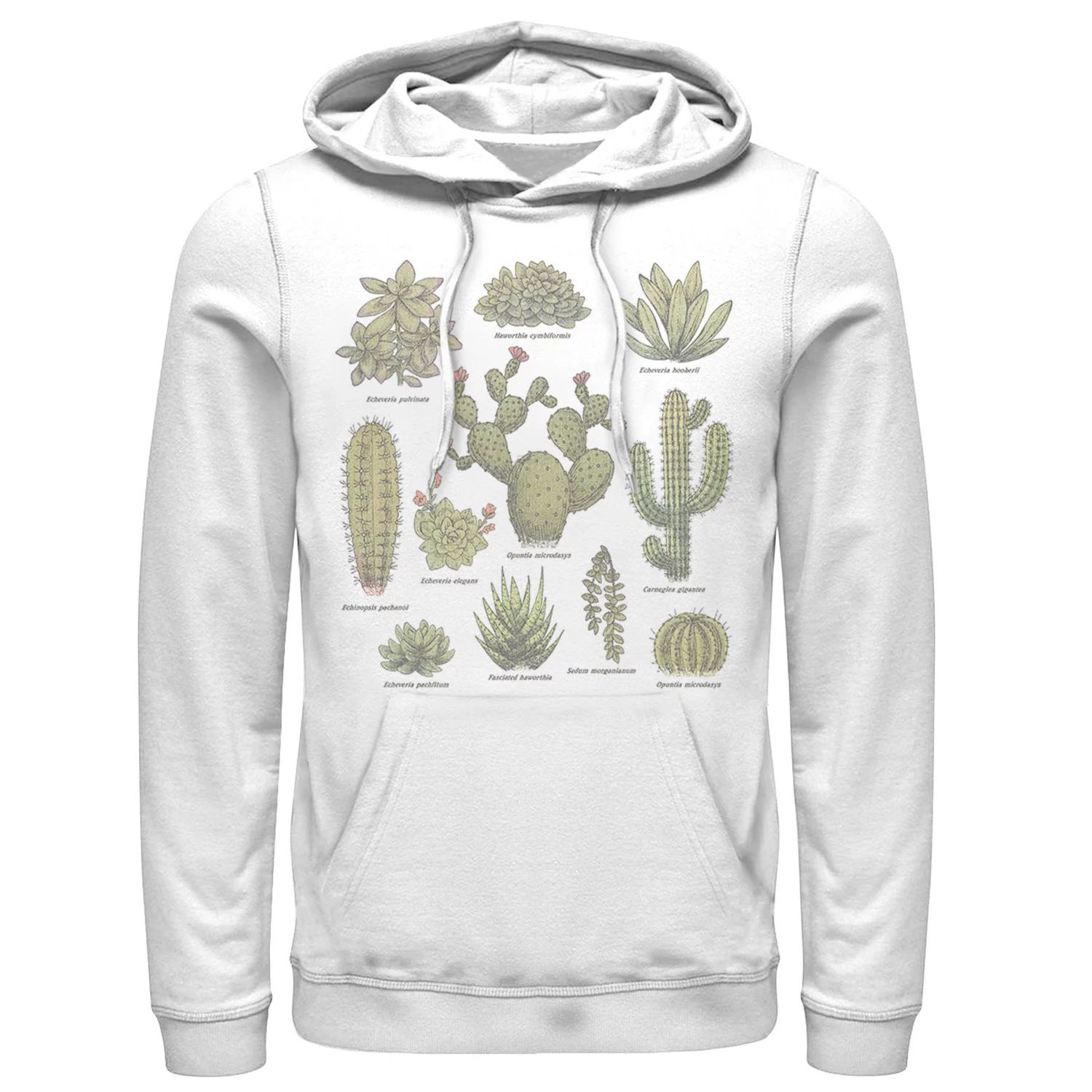 

Мужская толстовка с капюшоном Fifth Sun Botanical Cactus Line Up Licensed Character