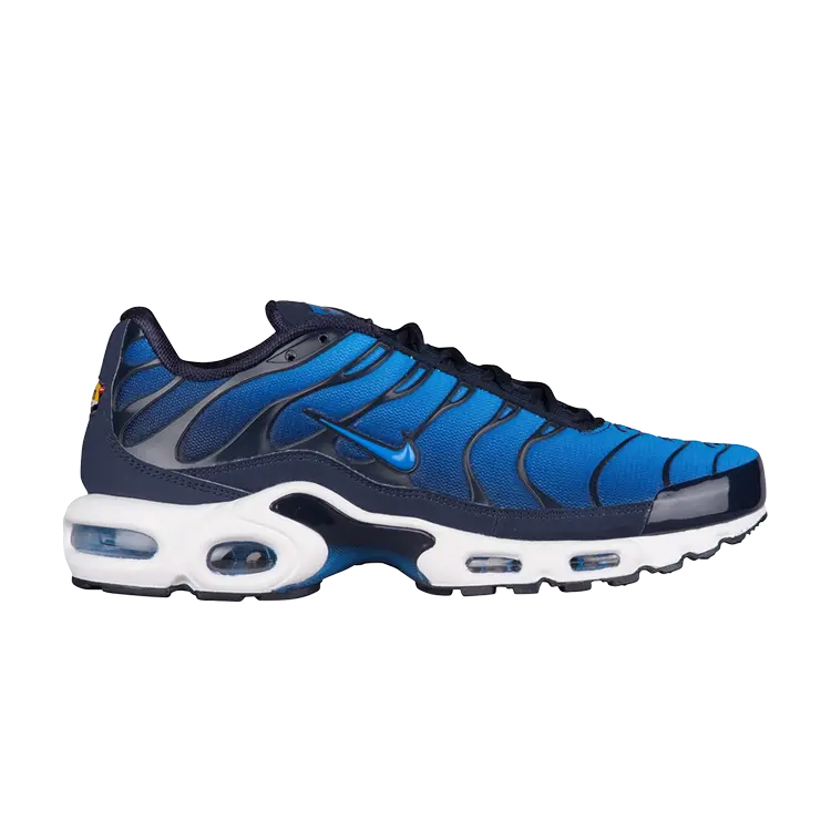 

Кроссовки Nike Air Max Plus TN 'Obsidian', синий