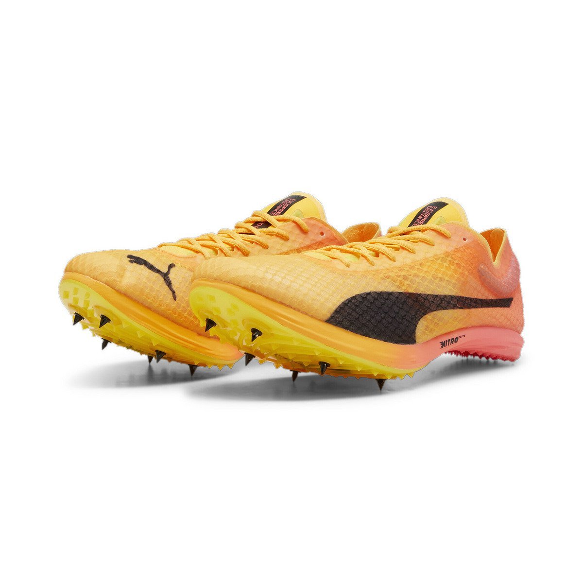 Мужские легкоатлетические шиповки evoSPEED Distance Nitro Elite+4 PUMA, Sun Stream-Suns — фото 2