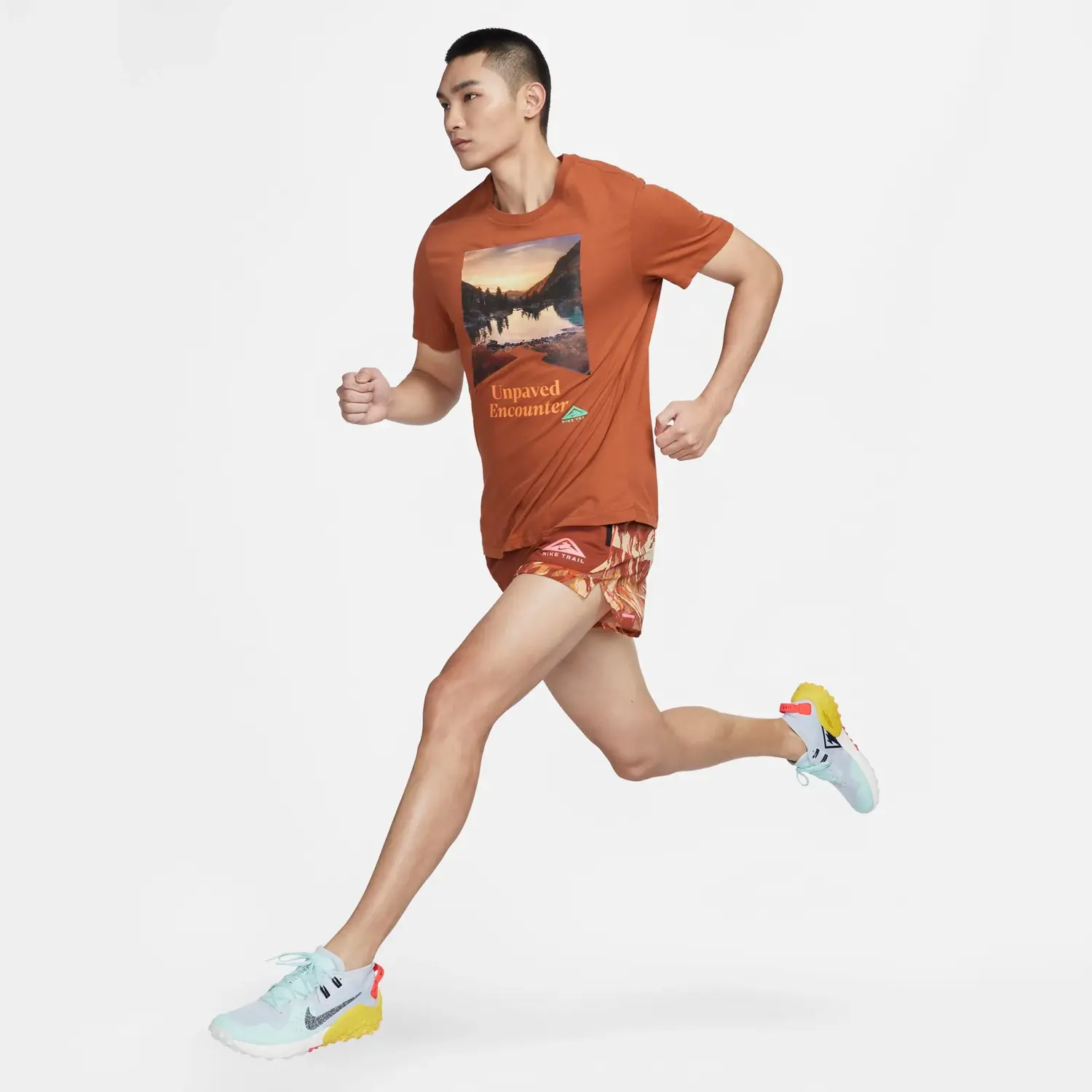 Футболка мужская темно-коричневая Nike, коричневый — фото 3