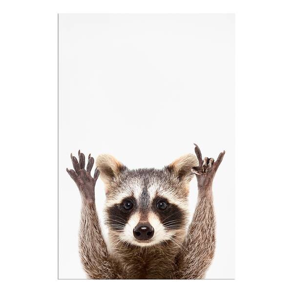 

Фреска Artgeist Raccoon, разноцветный