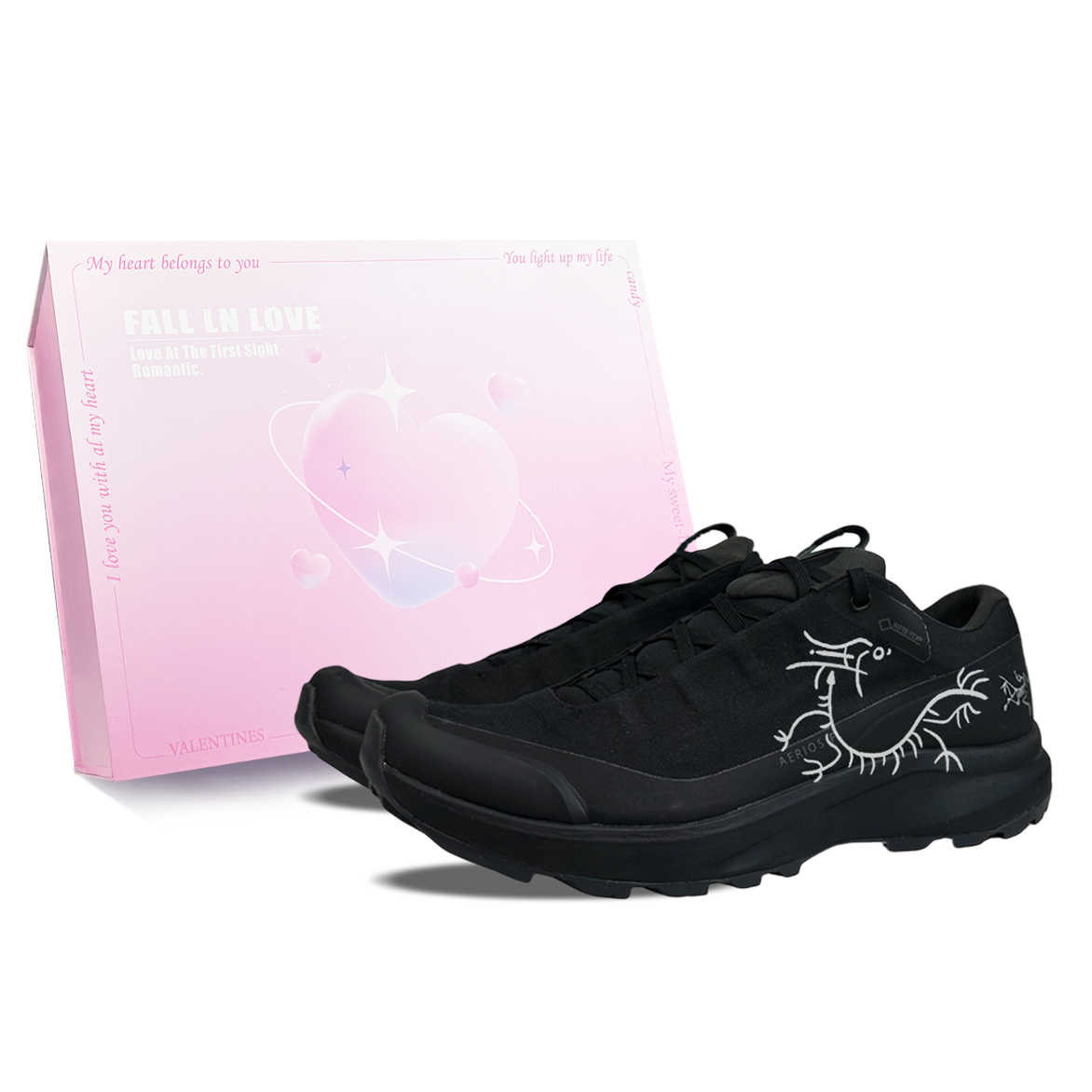 

Arcteryx Кроссовки AERIOS FL GTX Low top Running Shoes Men's Black