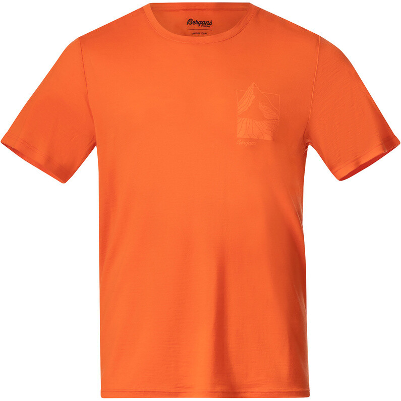 

Мужская шерстяная футболка Rabot Mount Bergans, цвет Alert Orange