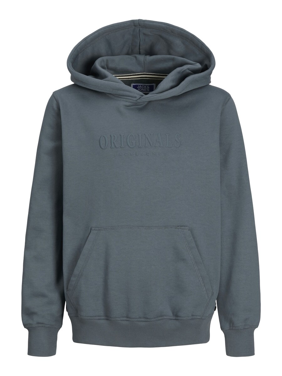 

Толстовка Jack & Jones Junior Frederiksberg, серый