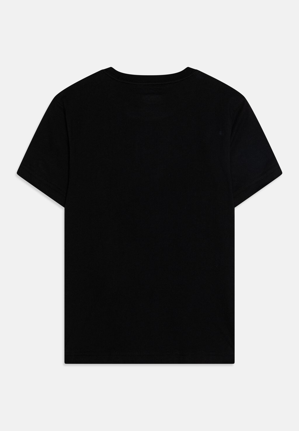 Базовая футболка YOUTH MAPLETON TEE UNISEX Dickies, цвет black — фото 2