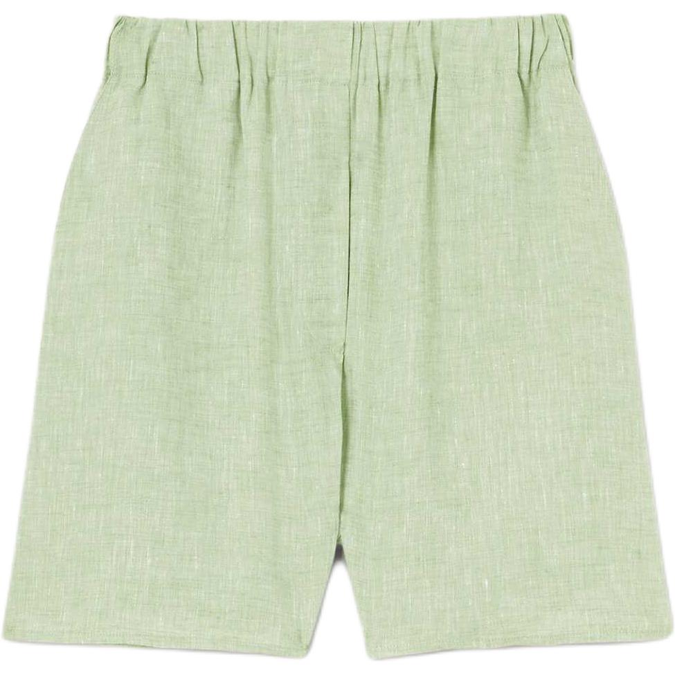 

Loro Piana Шорты Angelo Casual женские светло-зеленые