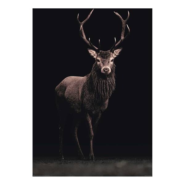 

Картина Reinders Hirsch im Licht, коричневый