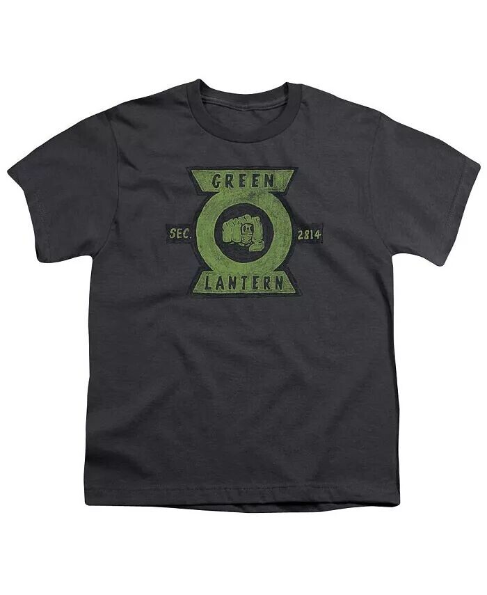 

Футболка с коротким рукавом для мальчиков Green Lantern, серый