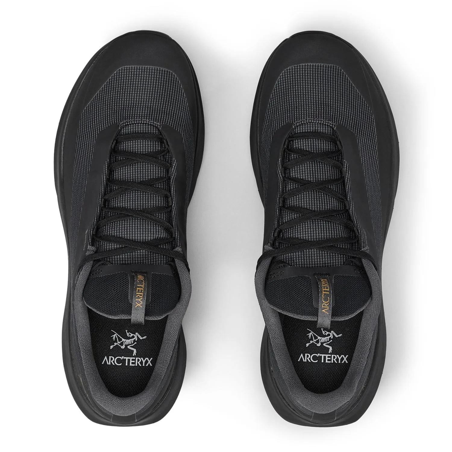 Мужские трейловые кроссовки Norvan LD 4 GTX Arc'teryx, Black/Black — фото 2