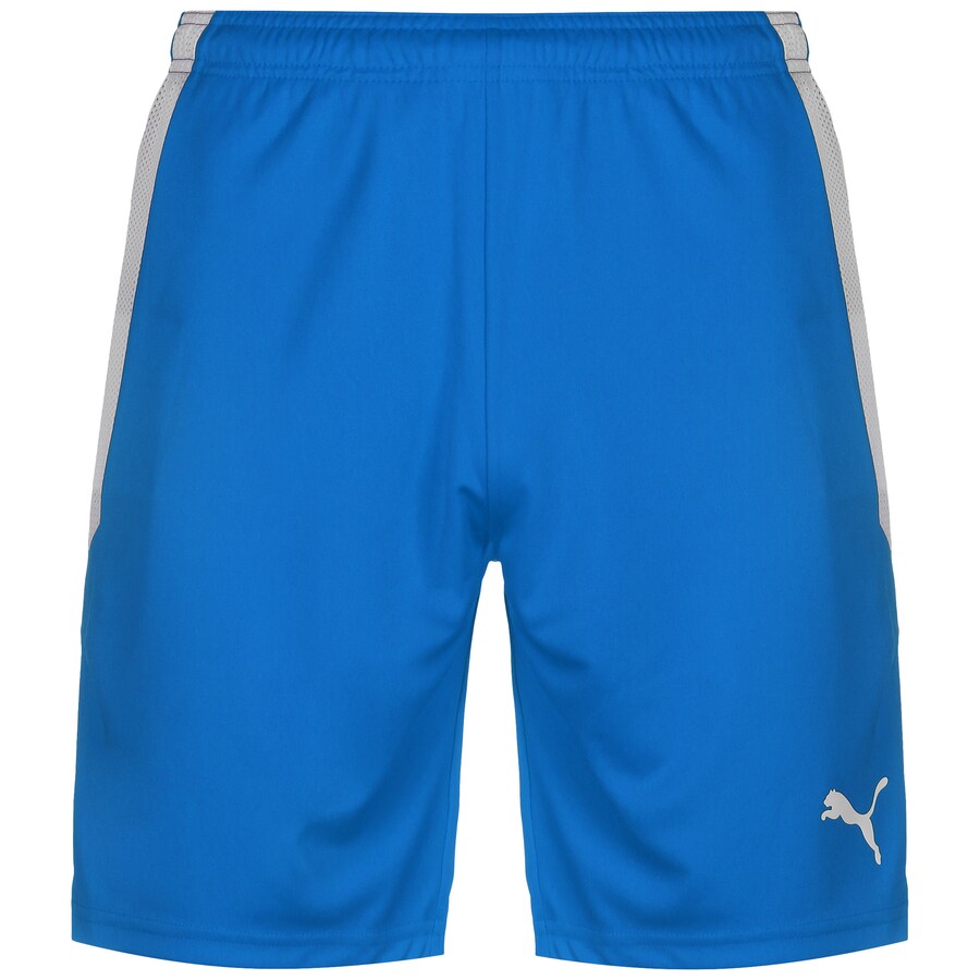 

Обычные тренировочные брюки PUMA TeamLIGA, цвет Cyan blue