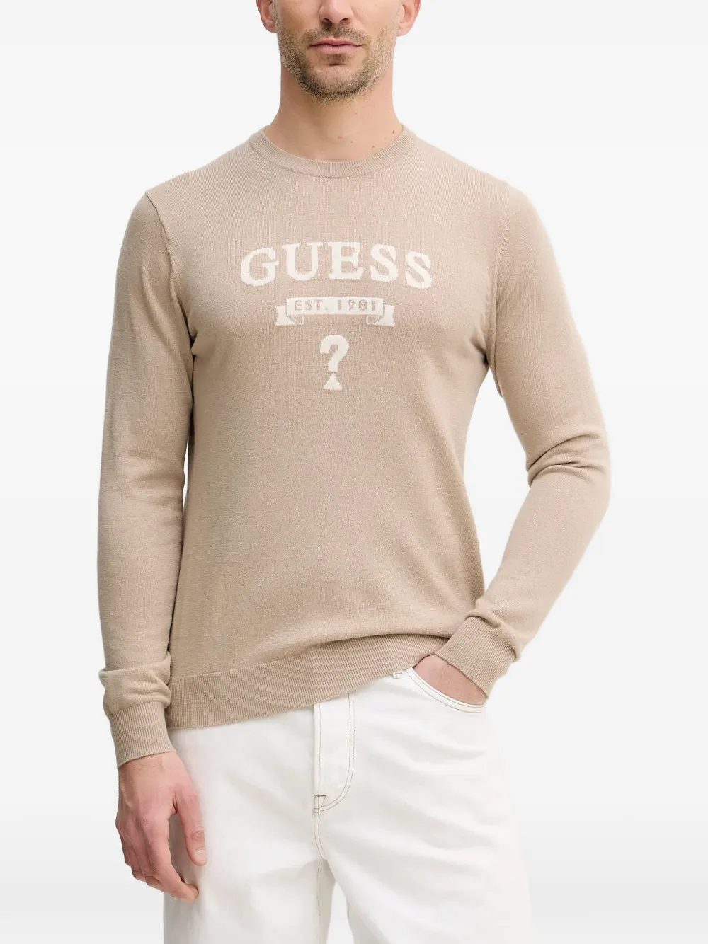 

Вязаный свитер с логотипом Guess Usa, нейтральный