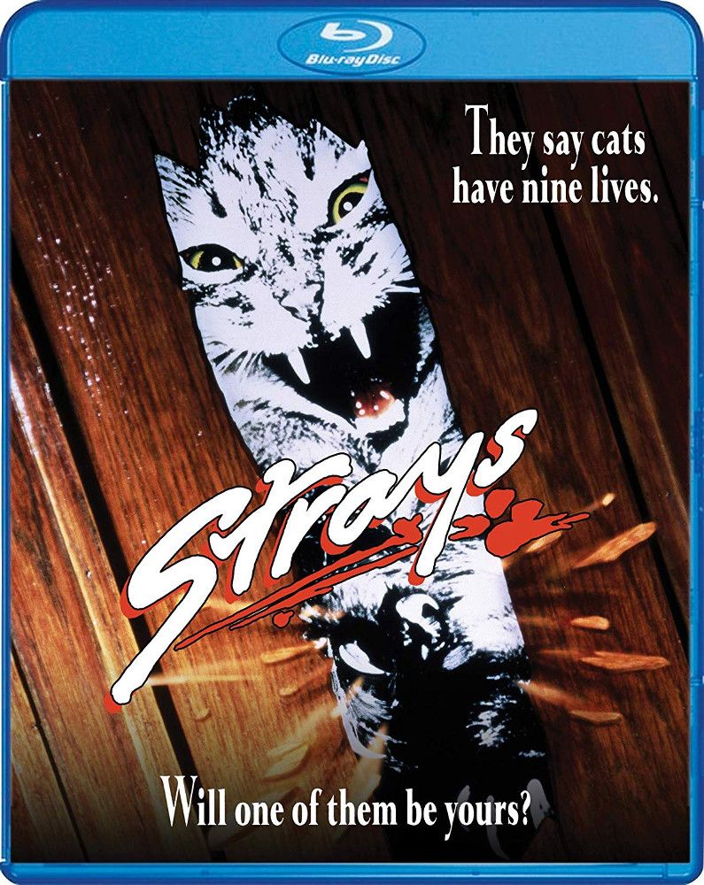 

Диск Blu-ray Strays [1991]