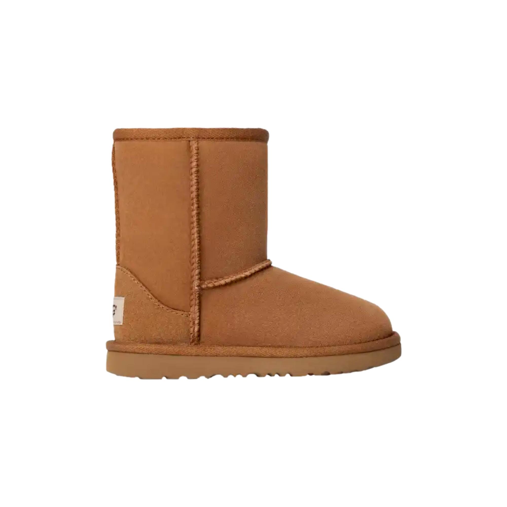 

Ботинки для мальчиков UGG, коричневый