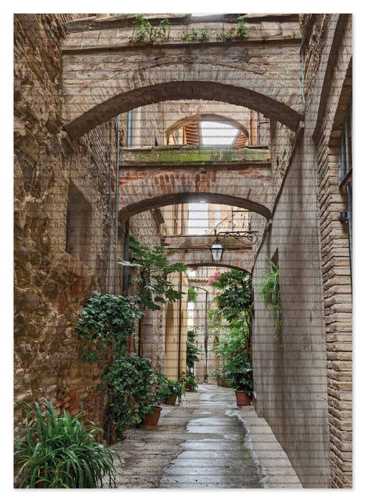 

Коврик для душа Wallario, нескользящий коврик, коврик для ванной, коврик для двери, зеленая итальянская аллея - со старинными арками, размер ок. 70 х 50 см, коричневый