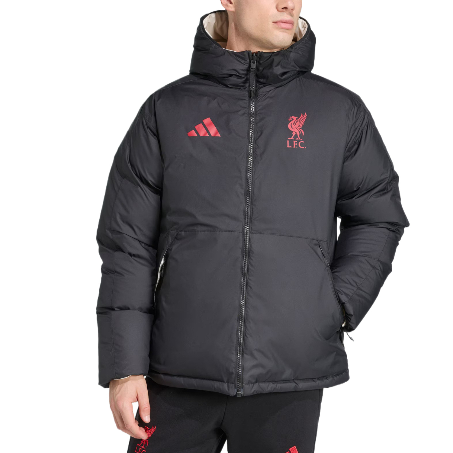 Пуховики Men's Black/Wonder White Adidas, черный/белый — фото 4