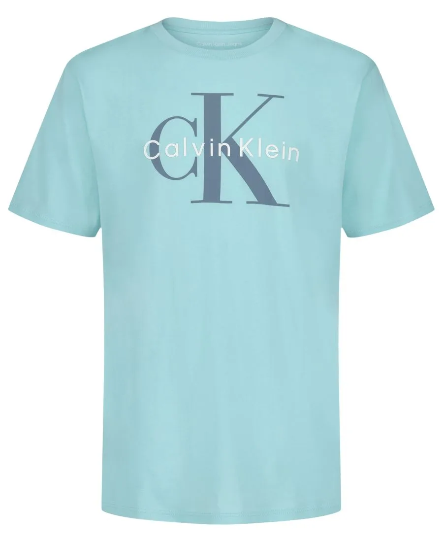 Детская футболка с круглым вырезом и монологом (8-20 лет) Calvin Klein, Plume
