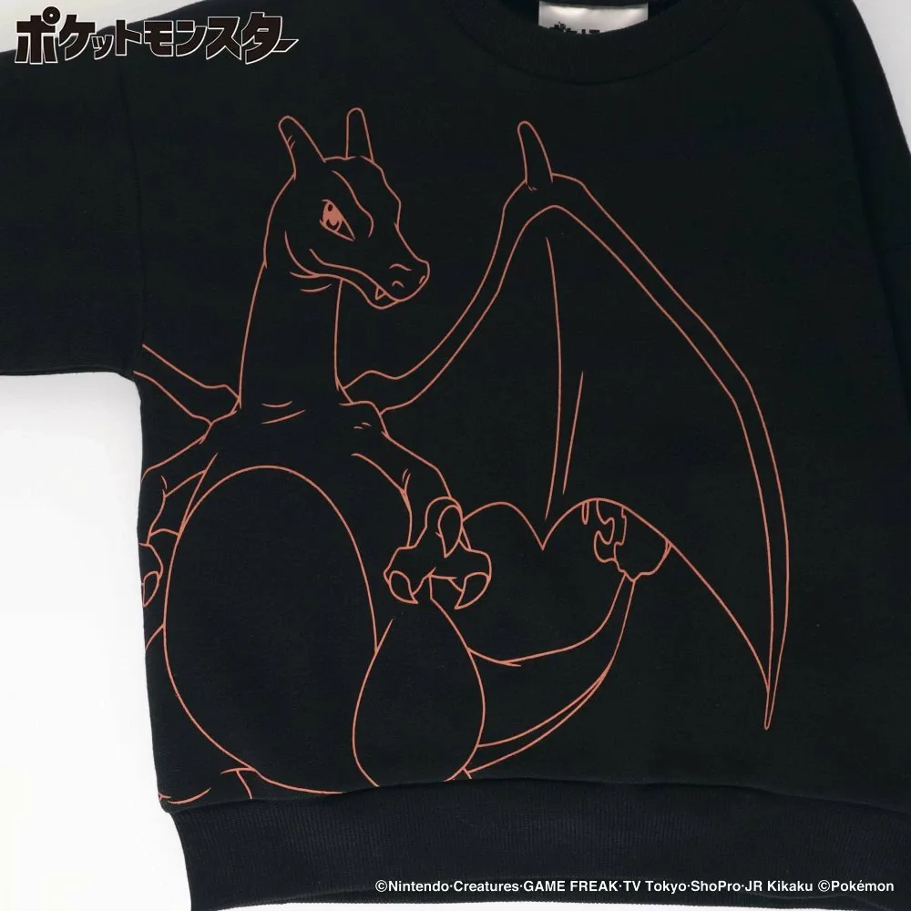 Толстовка на флисовой подкладке Branshes, 91: Charizard