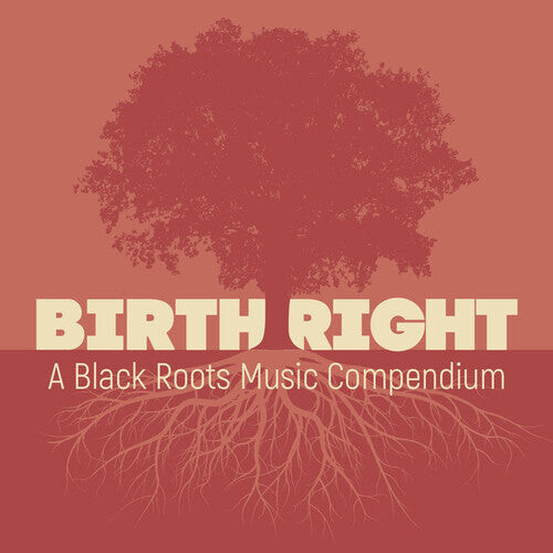 

CD диск Birthright: A Black Roots Music Compendium / Var]: Birthright: A Black Roots Music Compendium (Various Artists)