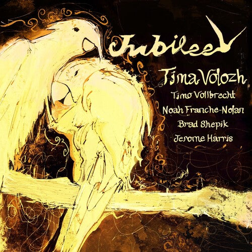 

CD диск Volozh, Tima: Jubilee