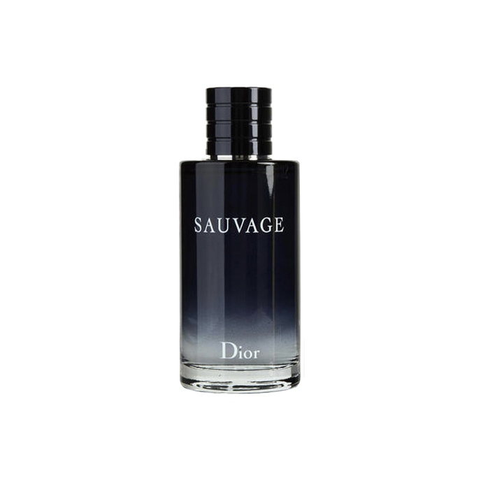 

Wilderness Classic Version мужские духи Woody Fougere аромат Eau De Toilette 30ml/60ml/100ml/200ml DIOR