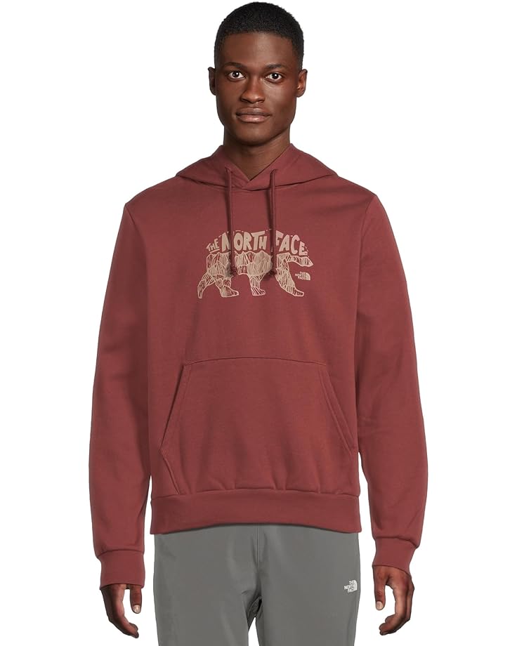 

Мужская толстовка с капюшоном The North Face Evolution TNF Bear Hoodie Graphic, Sumac