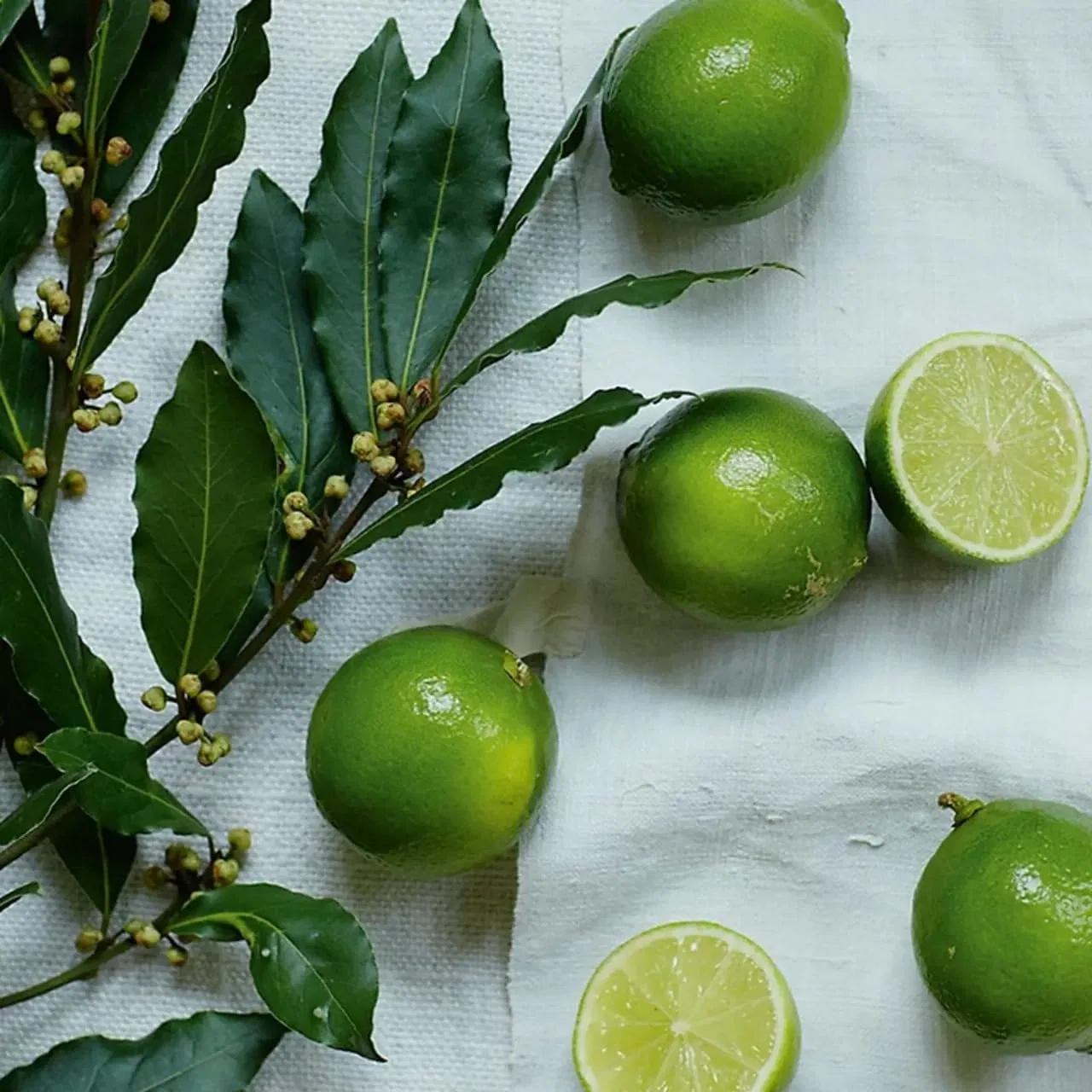 Подарочный набор для ванны и тела Lime & Bay от The White Company The White Company — фото 2