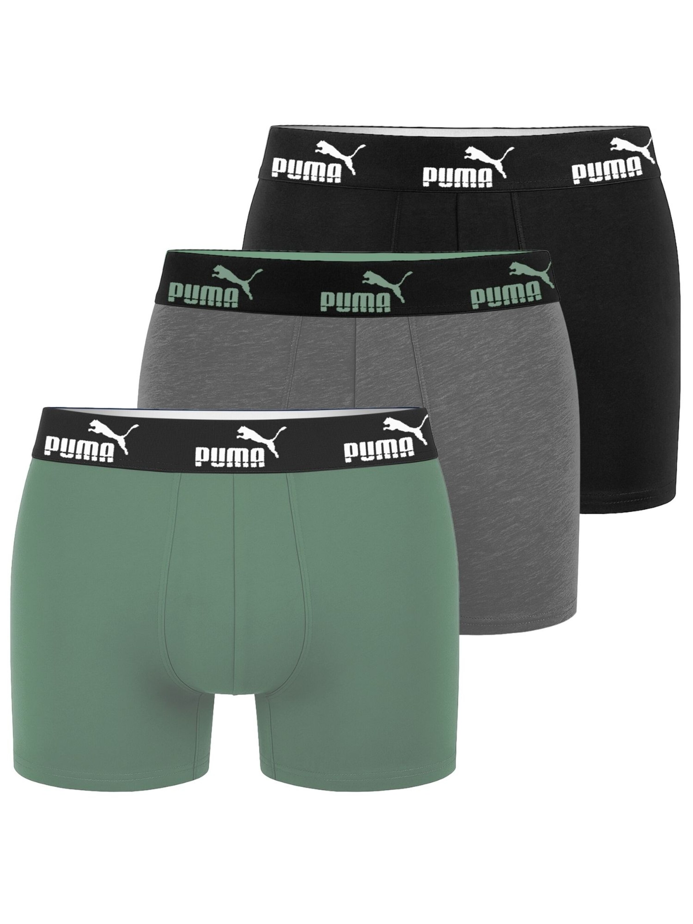 

PUMA Боксеры в цвете Green
