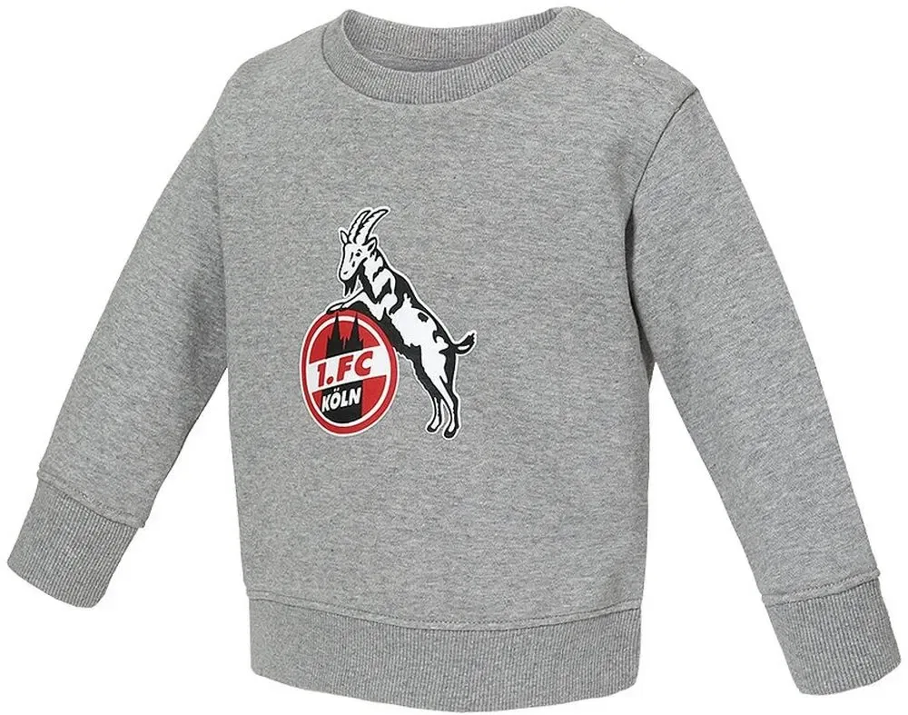 Свитшот детский хлопковый, Fußballverein 1. FC Köln, серый