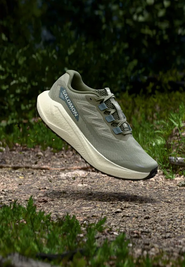 Кроссовки для трейлраннинга aero blaze 3 grvl Salomon, Tea/Vanilla Ice/Deep Lichen Green