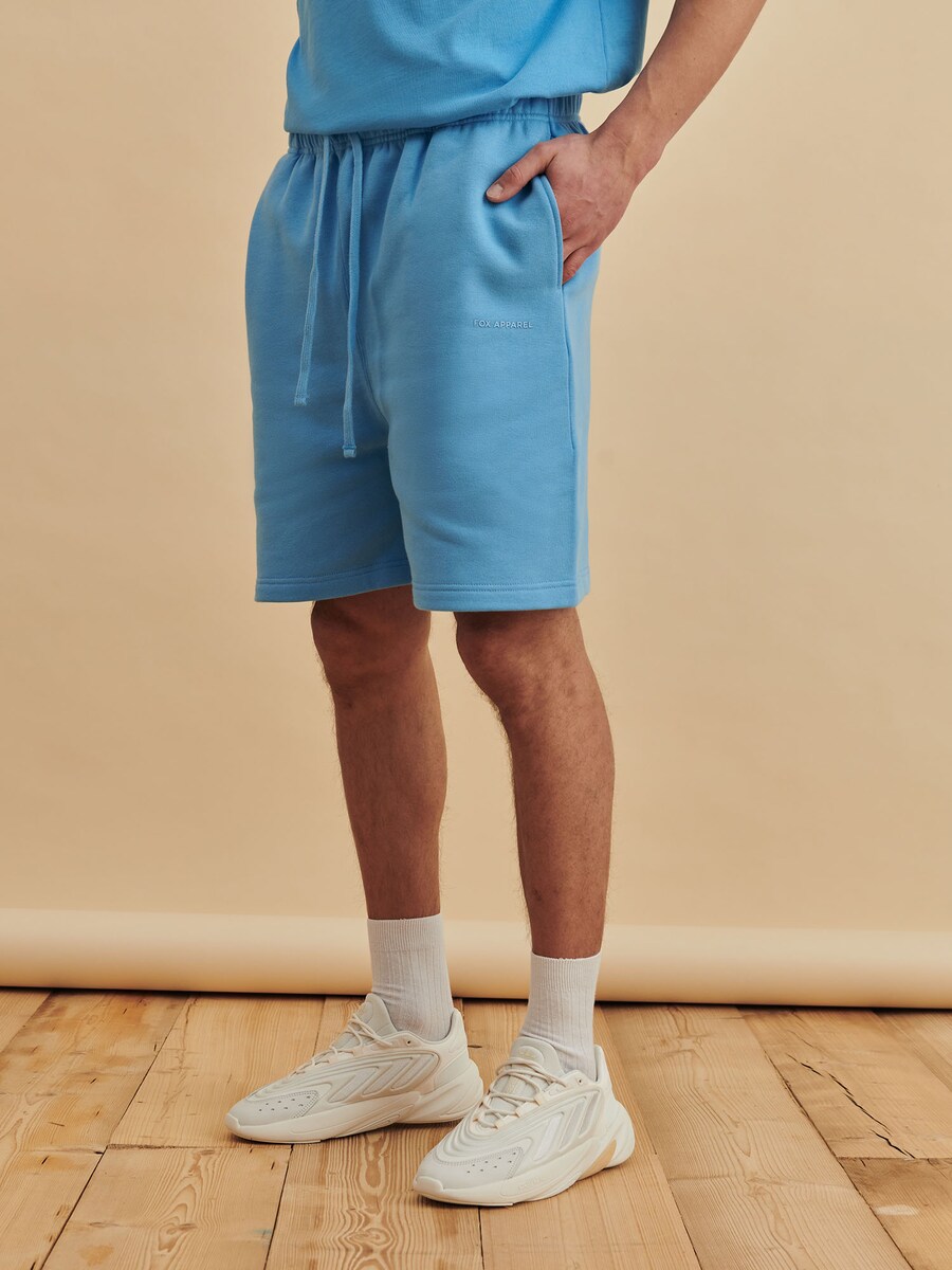 

Брюки свободного кроя DAN FOX APPAREL Sean, светло-синий