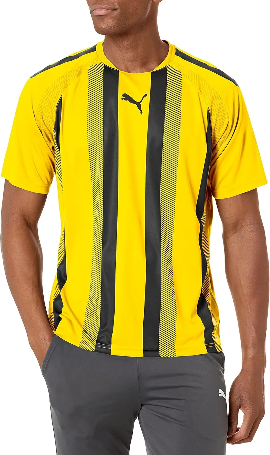 

Футболка Puma Teamliga