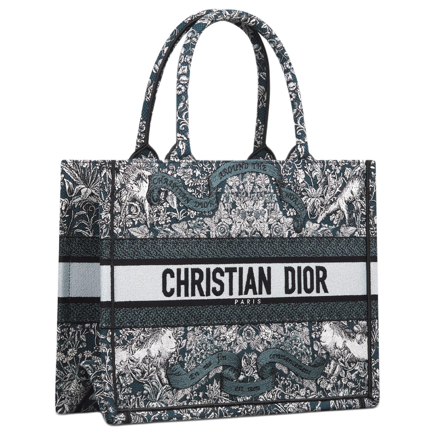 Сумка-шоппер из ткани BookTote, средний размер, женская, сине-белая DIOR — фото 2