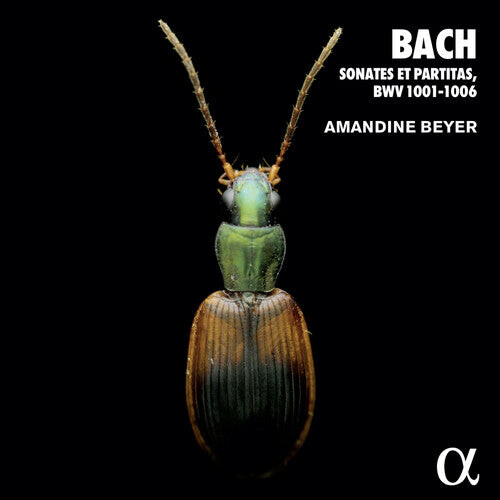 

CD диск Bach, J.S. / Beyer: 6 Violin Sonatas & Partitas
