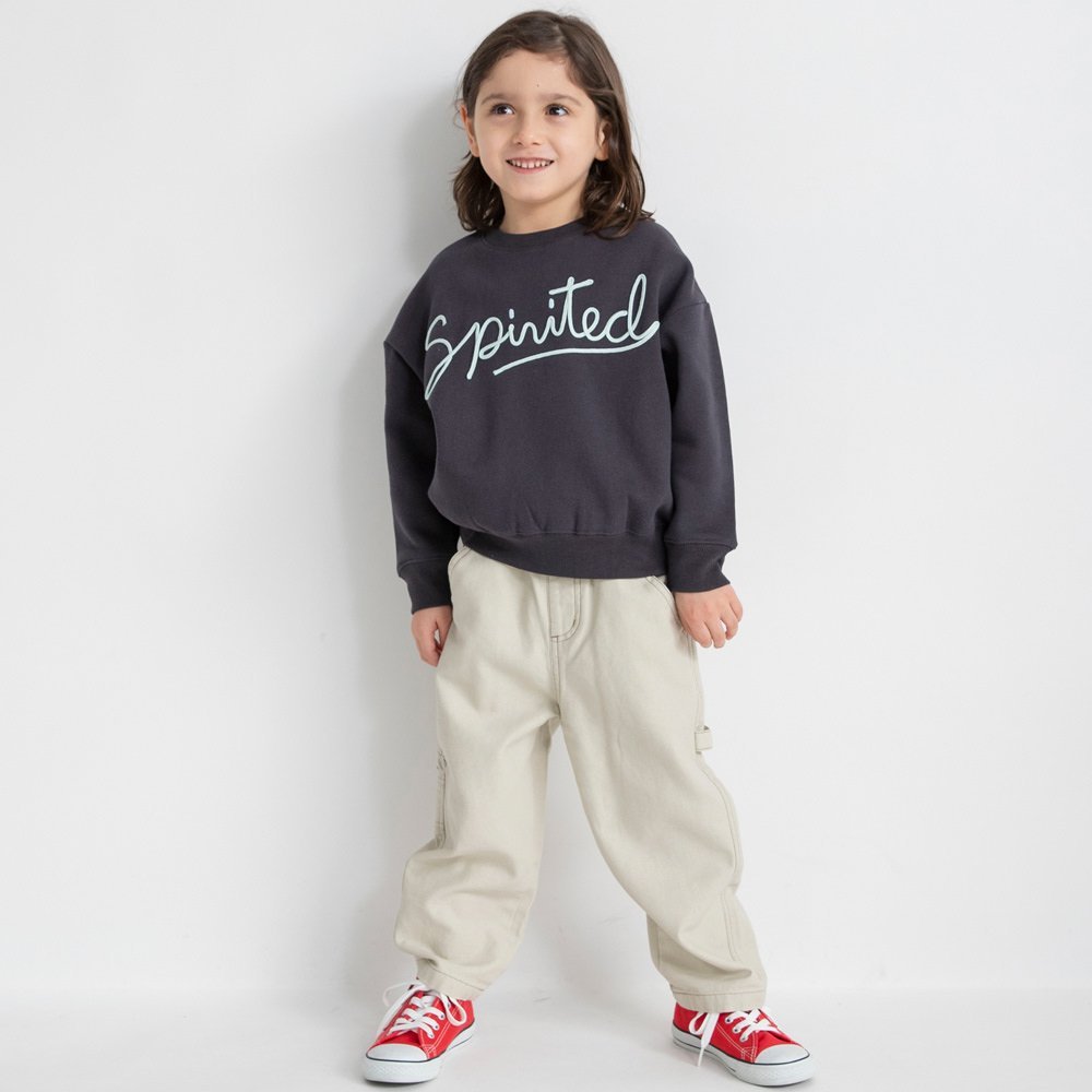 Толстовка с флисовой подкладкой и вышивкой вельветом Branshes, Charcoal Gray — фото 3