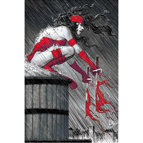 

Книга Elektra: Black, White & Blood Treasury Edition