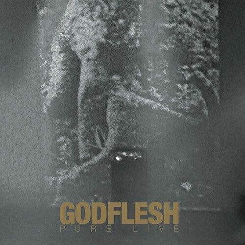 

Виниловая пластинка Godflesh - Pure Live