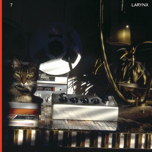 

Виниловая пластинка Lary 7: Larynx